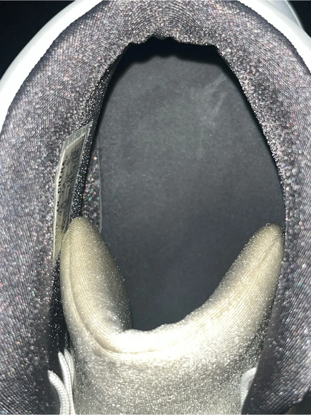 VINTAGE Air Jordan 19 OG 